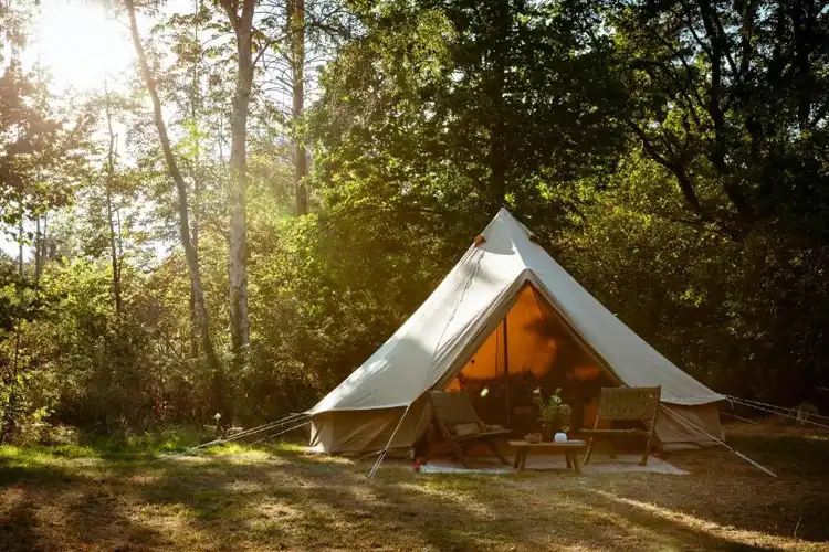Eco Farm Camping 'de Waeldernis' Texel