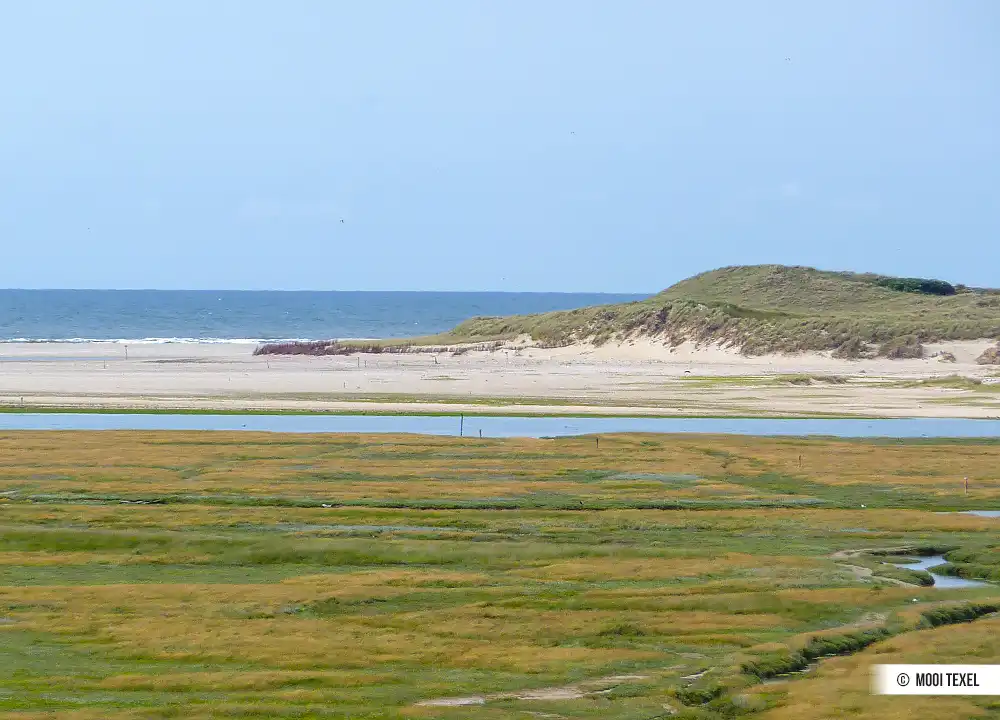 De Slufter auf Texel